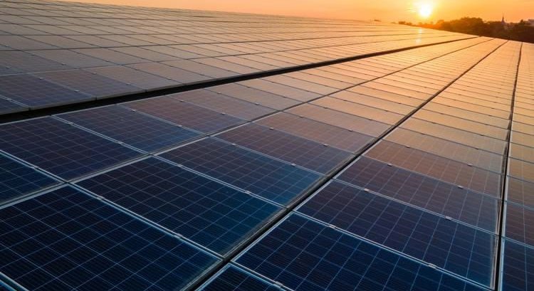 Rows of solar panels catching a low orange sun across a large ground-mount array