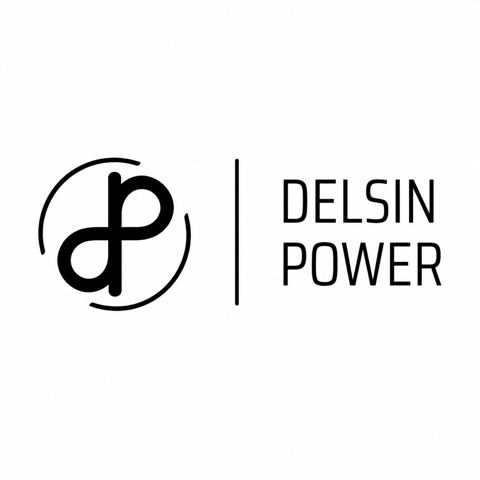 Delsin Power